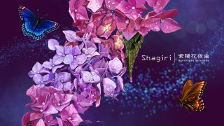 Thumbnail of post image 049