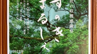 Thumbnail of post image 142